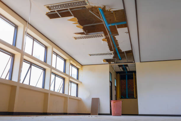 Best Ceiling water damage repair  in Madison, FL