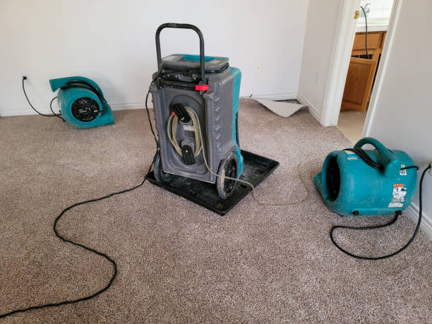 Best Basement water damage restoration  in Madison, FL