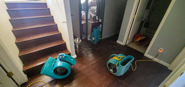 Best Mold removal after water damage  in Madison, FL