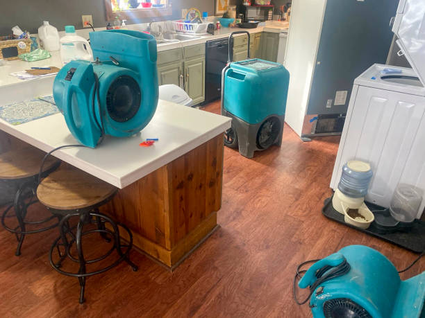 Best Water damage cleanup near me  in Madison, FL