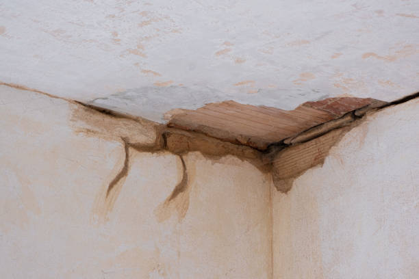 Best Sewage cleanup and water damage restoration  in Madison, FL