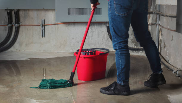 Best Water damage contractors near me  in Madison, FL