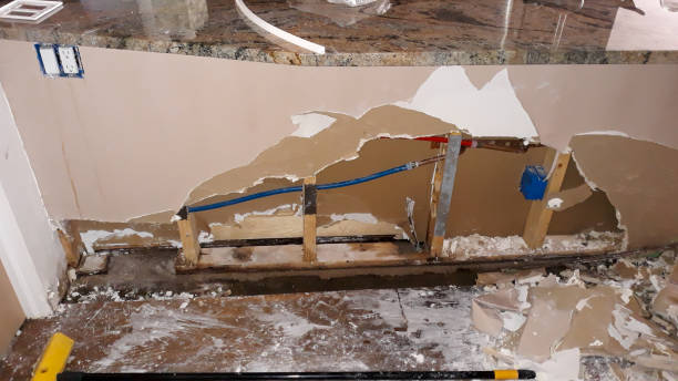 Best Water damage restoration near me  in Madison, FL