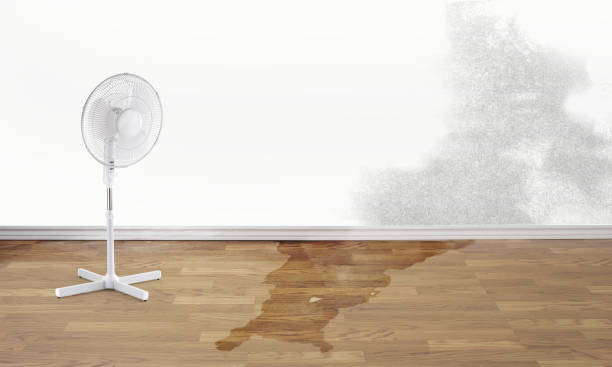  Madison, FL Water damage restoration Pros