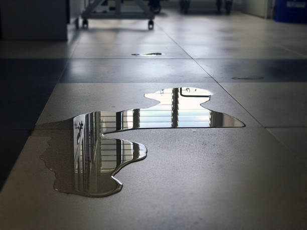 Best 24-hour water damage restoration  in Madison, FL