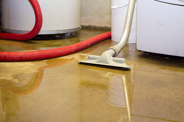 Best Flood damage cleanup  in Madison, FL