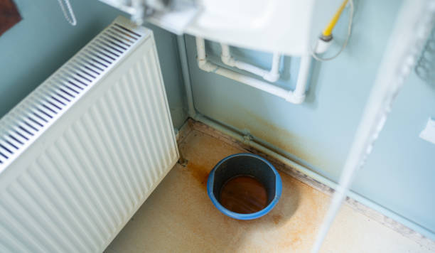 Best Residential water damage restoration  in Madison, FL