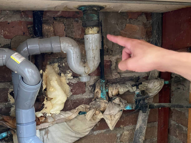 Best 24/7 water damage repair  in Madison, FL