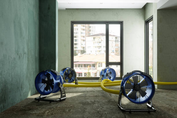 Best Emergency water damage restoration  in Madison, FL